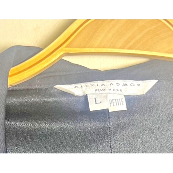 Vintage Y2k Black Sheer Mesh Long Sleeve Dress Pockets Whimsigoth L Petite - Picture 7 of 9